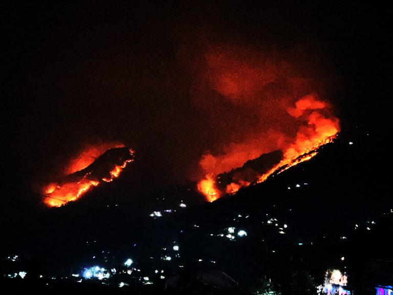 जङ्गलभरि आगलागी : बासस्थान खोज्दै गाउँ झरे वन्यजन्तु