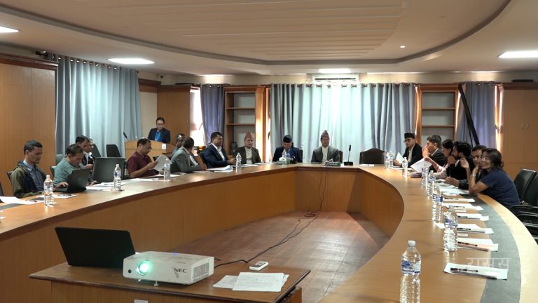 पाटन अदालतको इतिहासमा पहिलो पटक दुईवर्षे मुद्दा शून्यमा